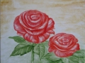 Zwei rote Rosen